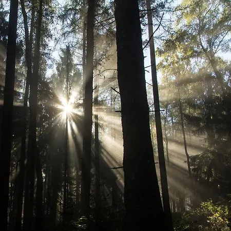 Otel Romantik Zum Lindengarten Kurort Jonsdorf