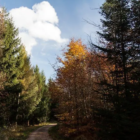 Otel Romantik Zum Lindengarten 3*